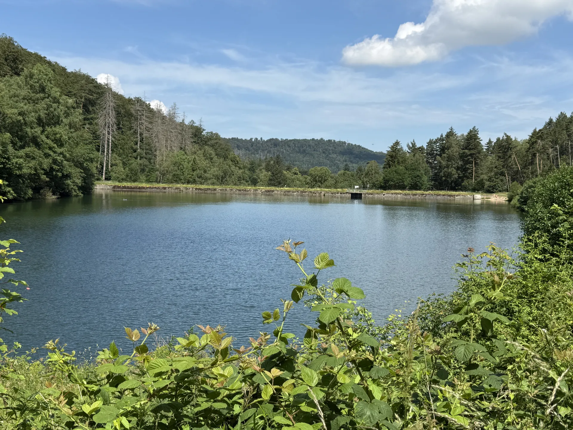 Naturlandschaft am Herzberger Teich bei Goslar, Ausgangspunkt für Wanderungen im Harz