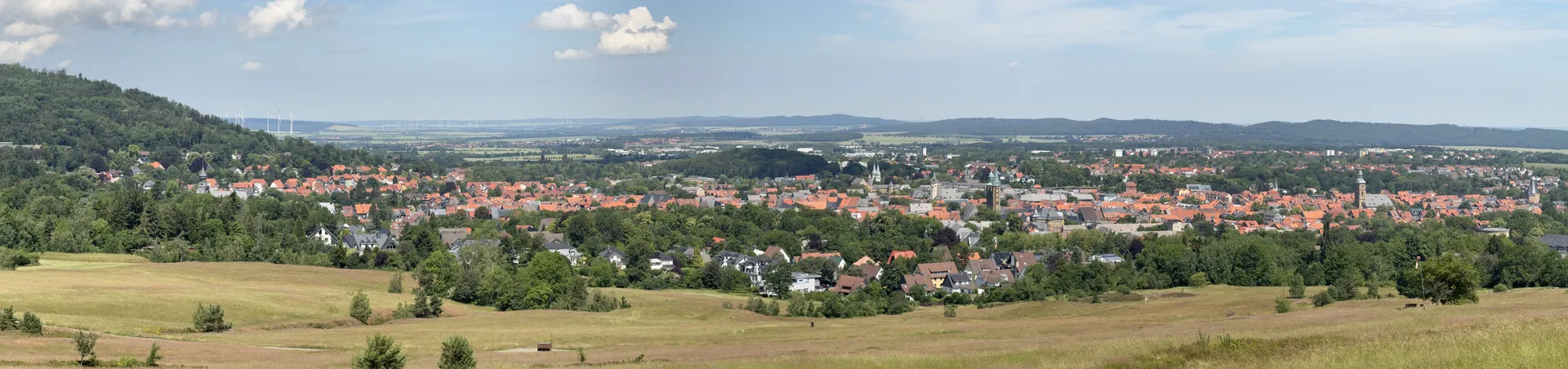Panoramablick über Goslar und den Nordrand des Harzes