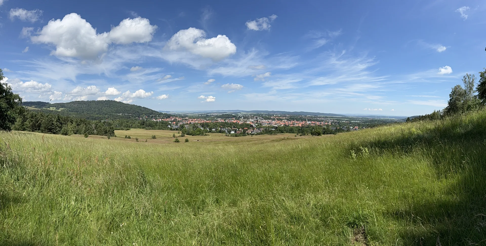 Offene Landschaft im Harz nahe der Eckertalsperre